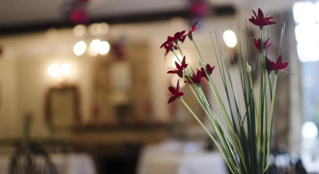 Одноместный номер Standard The New Inn Hotel