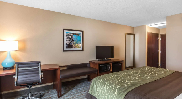 Двухместный номер Standard Comfort Inn Bay City - Riverfront