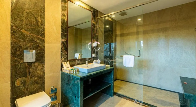 Люкс Executive The Ananta Udaipur