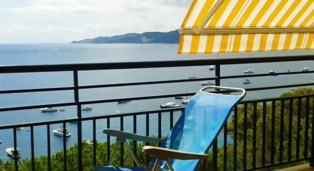 Apartament senya salvi 34