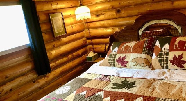 Carlo Creek Cabins, Rezerwuj Pole kempingowe McKinley Park 