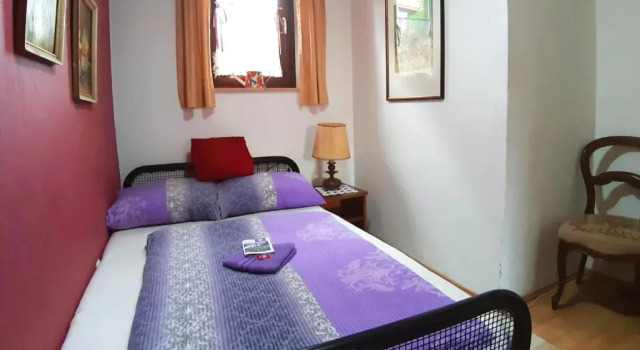 Одноместный номер Deluxe Hostel Pansion Lion