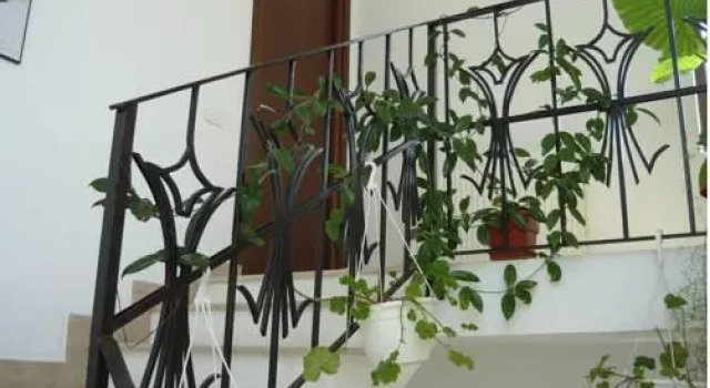 Pensiunea Casa Padurii