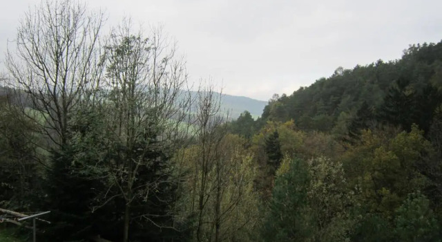Waldpension Stachl, Réserver Hôtel Walpersbach Wiener Neustadt