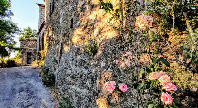 Historic 14th Century Palazzo apartments