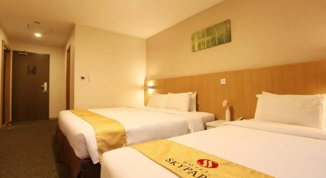 Двухместный номер Deluxe Hotel Skypark Jeju 1 Newly renovated
