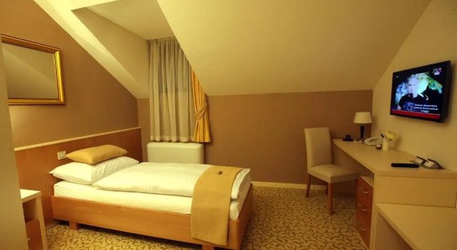 Одноместный номер Standard Hotel Gallus