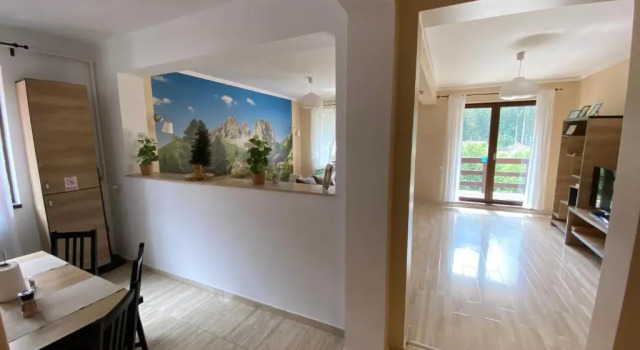 Апартаменты Apartament Holiday Busteni