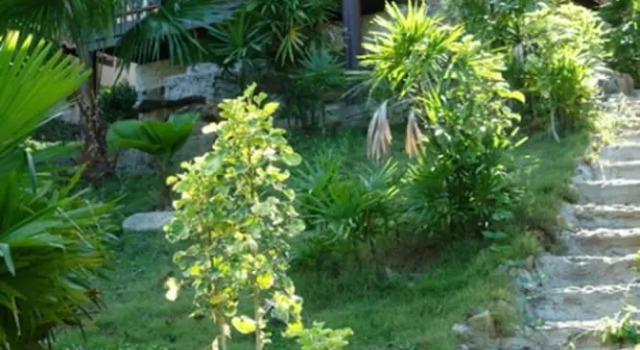 Коттедж Buritara Resort and Spa, Phangan