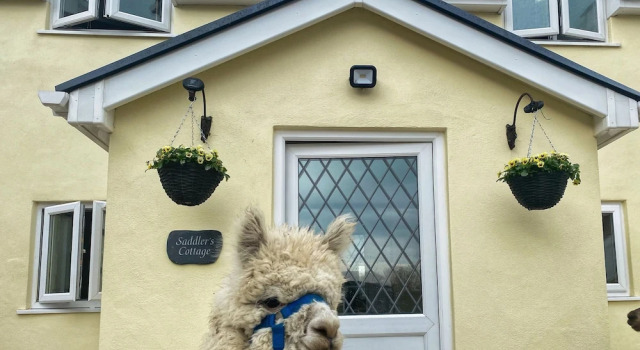 Saddlers Cottage, Berllandeg Farm, Book Landbrugsophold Clynderwen Glamorgan