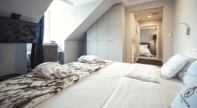 Студия Hotel Pałac Alexandrinum