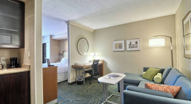 Люкс Deluxe c 1 комнатой SpringHill Suites Detroit Southfield