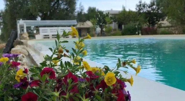 B&B Terre di Kalia, Buchen Sie Bed & Breakfast Ceglie Messapica Itria-Tal