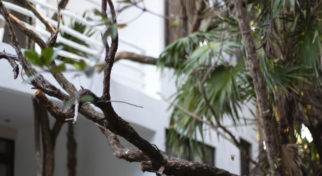 Casa Ambar Tulum, Rezervovat Hotel Hotely v Tulum s parkováním, poblíž Ziggys, Parkování