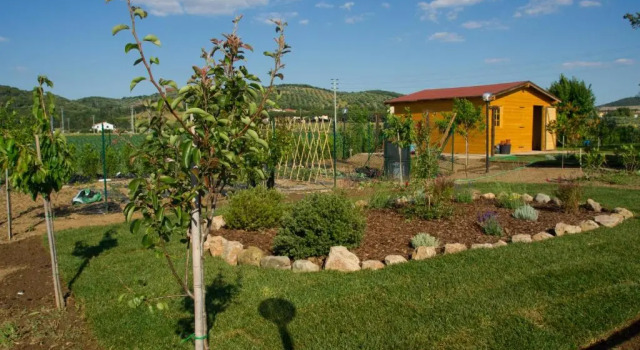 Апартаменты с 2 комнатами с видом на бассейн Agriturismo Fattoria Benaris