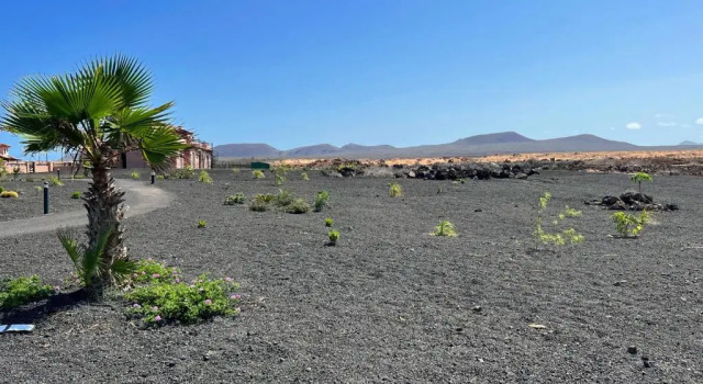 AliNico House Majanicho iRent Fuerteventura