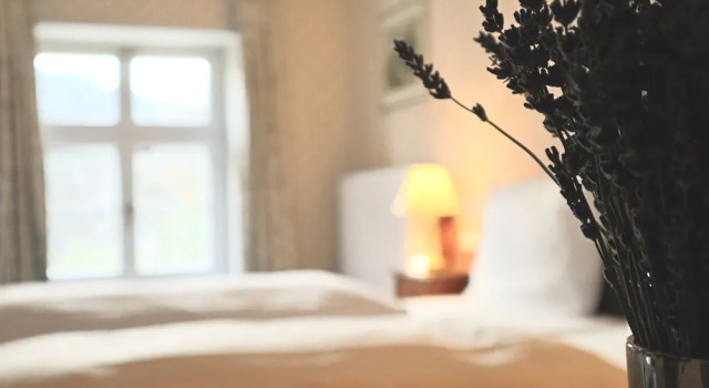Supérieure double chambre Vue sur la rivière Hotel Alter Packhof