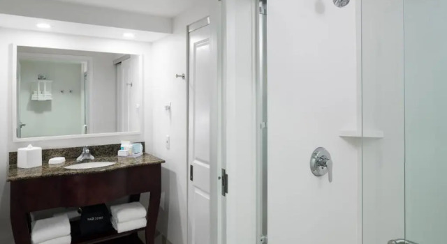 Двухместный люкс с балконом и с видом на парк Hampton Inn & Suites Memphis-Beale Street