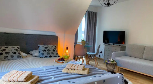 Апартаменты c 1 комнатой Apartamenty Jelonek Zakopane