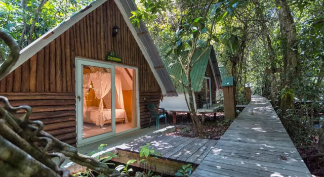 Номер Deluxe Hotel Hacienda Tijax Jungle Logde