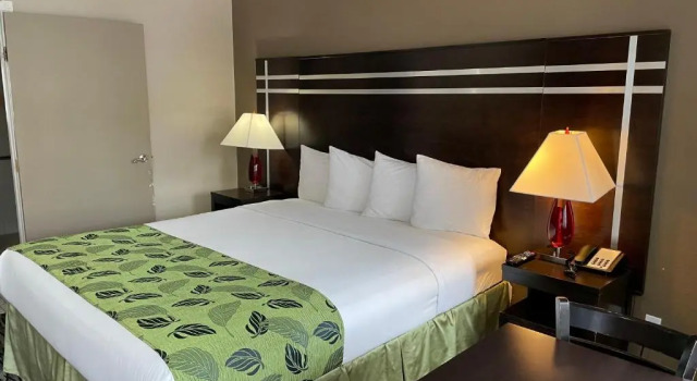 Номер Standard Motel Capri