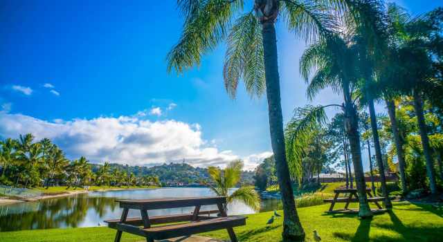 Номер Standard Bay of Palms