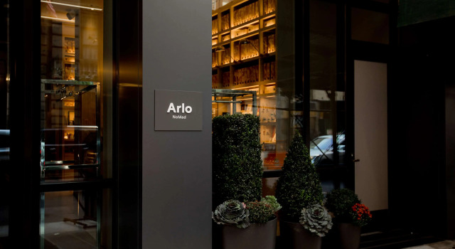 Arlo NoMad