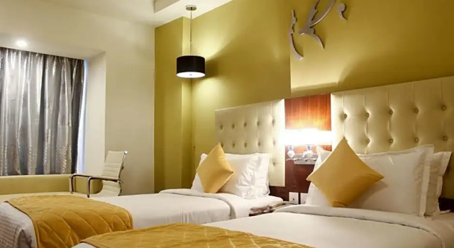 Номер Executive Hotel Southern Comfort