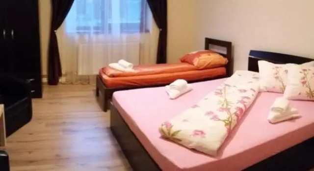 Трёхместный номер Standard Pensiunea Dunavis