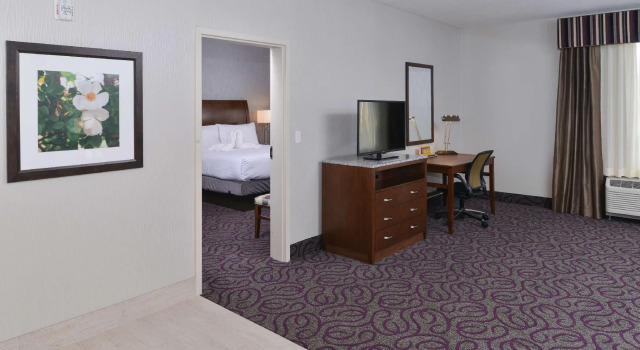 Двухместный люкс c 1 комнатой Hilton Garden Inn Hobbs