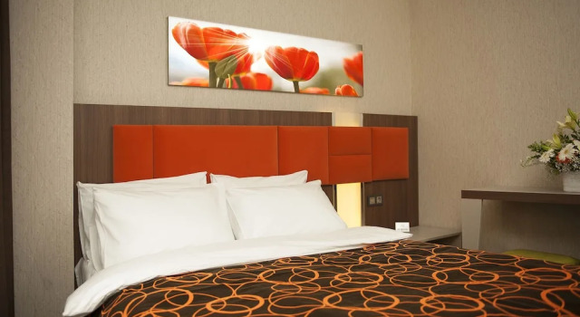 Двухместный номер Standard Birbey Hotel