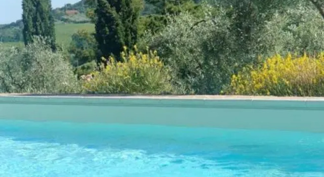 Le Sodole