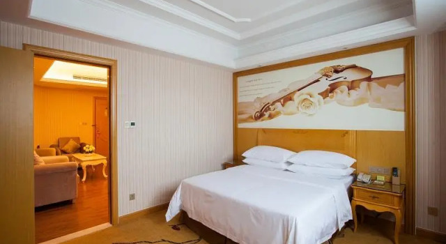 Люкс Deluxe Vienna International Hotel Chenzhou Wuling Square