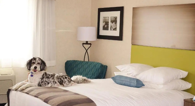 Номер Standard Best Western DuBois Hotel