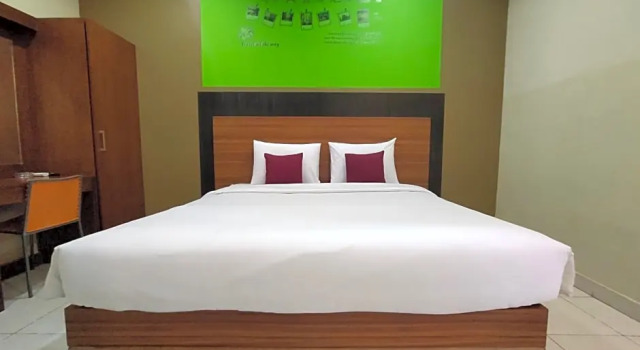 Люкс Superior OYO 1035 Patal Residence