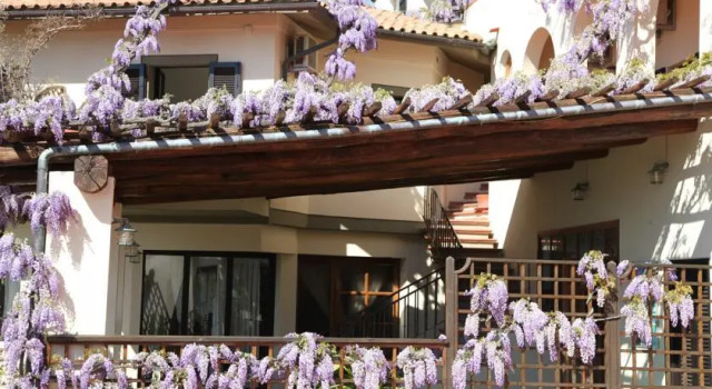 Hotel Galli, Rezervovat Lázně / Resort Hotely v Elba s parkováním, Parkování
