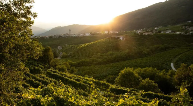 Апартаменты Oasi di pace nel sito UNESCO del Prosecco DOCG