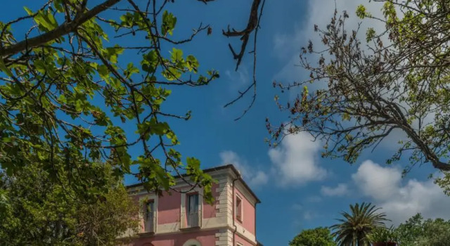 Agriturismo Piano del Monaco, Varaa Hotelli Marcellinara Calabria