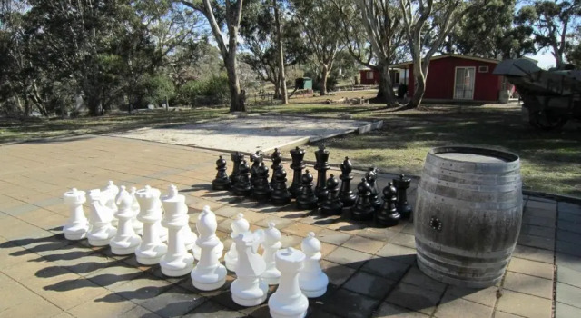 Номер Standard Clare Valley Cabins