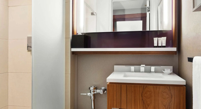 Двухместный номер с видом на город Hyatt Grand Central New York