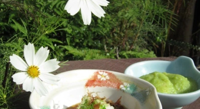 Ryokan Nanbuya, Book Hotel Osaki 