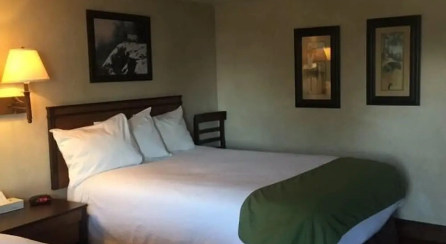 Номер Deluxe BackCountry Inn