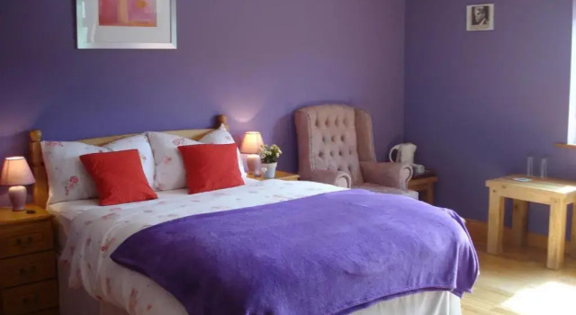 Двухместный номер Deluxe Tullaleagan Guesthouse