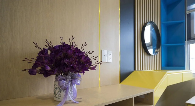 Luxury Apartment Ha Long