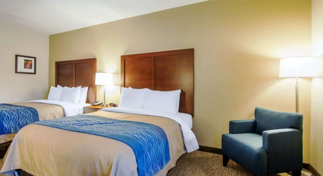 Четырёхместный номер Standard Comfort Inn at Royal Blue