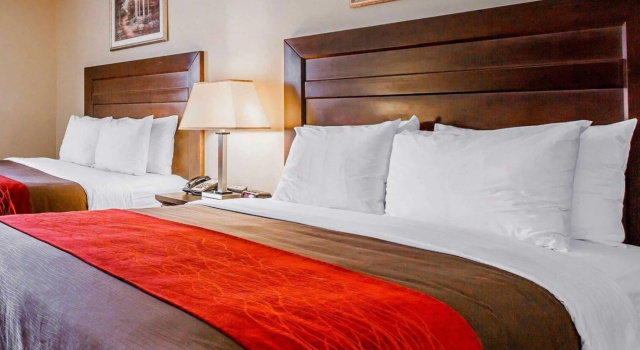 Четырёхместный номер Standard Comfort Inn Monterey Park - Los Angeles