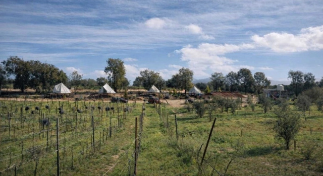 Cosmo Glamping, Rezervasyon Kamp Alanı Baja California kahvaltılı oteller, Kahvaltı