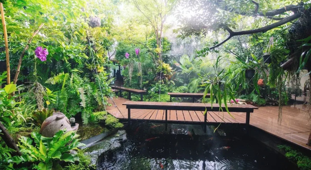 Номер Economy с видом на бассейн 42Garden Chiangmai