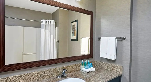 Run of House Comfort Inn & Suites Buford near Mall of Georgia