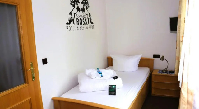 Одноместный номер Standard Schwarzes Ross Hotel & Restaurant Oberwiesenthal
